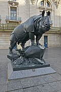Rhinocéros