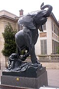 Jeune éléphant pris au piège