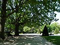 Square Severine