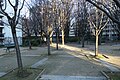 Jardin Alleray - Procession