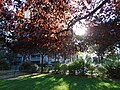 Square du Pere Plumier