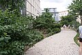 Jardin de Vitaly