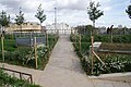 Jardin Marielle-Franco